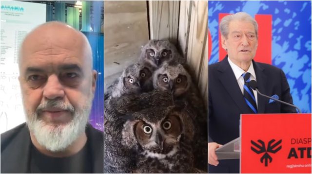 PD firmosi koalicion me 25 parti, Rama ironizon Berishën dhe aleatët demokratë: Fronti i ‘Noc Rrokut’!