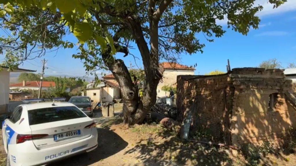 E rëndë në Pogradec, shpërthen granata e Luftës së Dytë Botërore, plagoset 49-vjeçari