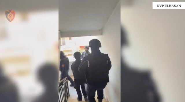 Dalin pamje nga operacioni antidrogë në Elbasan, Policia: 16 të ndaluar dhe 9 kg drogë e sekuestruar
