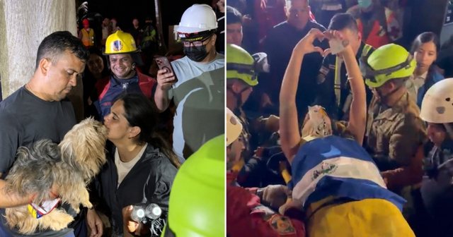 Tërmetet shkatërruese në Venezuelë, 15-vjeçarja dhe qeni i saj nxirren gjallë nga rrënojat pas 50 orësh