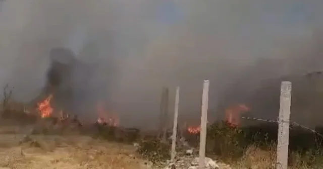 Zjarr në periferi të Vlorës/ Era dhe temperaturat e larta përhapin flakët pranë banesave!