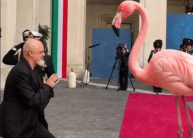 “Besa s’ka lidhje me sorrat dhe korbat”, Rama: Të vijnë për dorëheqje poshtë penxheres sime deri në 2029-ën!