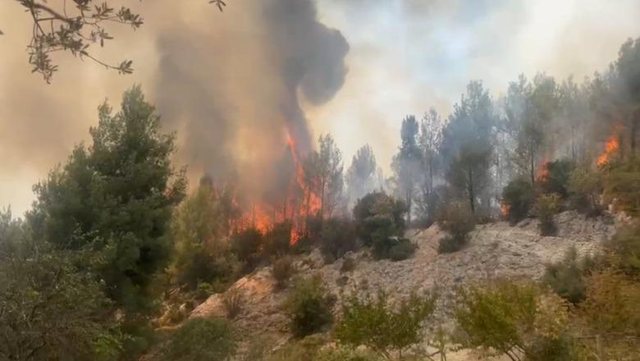 Kruja sërish në flakë, zjarri përfshin lagjen Boje! Ndërhyrje nga toka dhe ajri