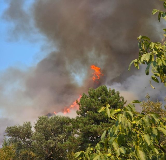 Zjarr në Fushë-Krujë, flakët afrohen drejt banesave, nis ndërhyrja nga ajri
