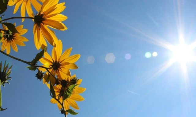 Temperatura deri në 40 gradë, si parashikohet moti sot