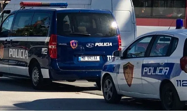 Konflikt brenda familjes në Dibër, 34-vjeçari dhunon kunatën, djali i saj qëllon në ajër me armë zjarri