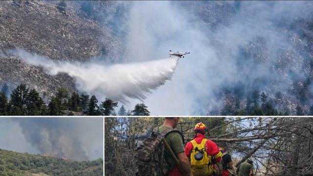 Digjet Parku Kombëtar i Lurës, zjarr edhe në kodrat e Tiranës, sërish alarm në Krujë, flakët zbresin drejt shtëpive