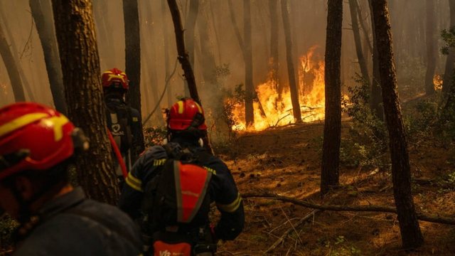 Si paraqitet aktualisht situata me zjarret në Shqipëri