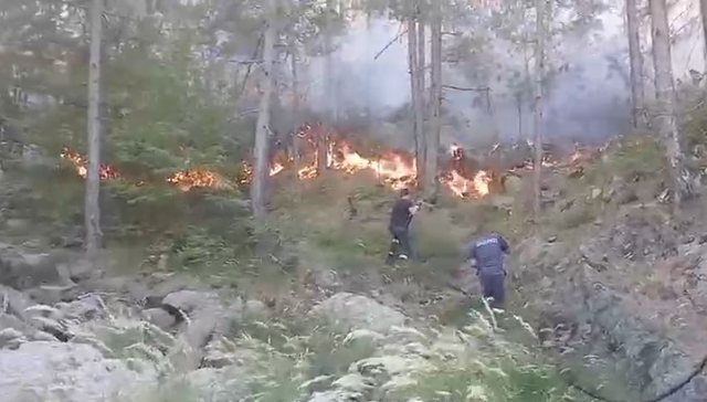 Vijon zjarri në Tërbun të Pukës, flakët rrezikojnë një banesë dhe stacionin e ujit
