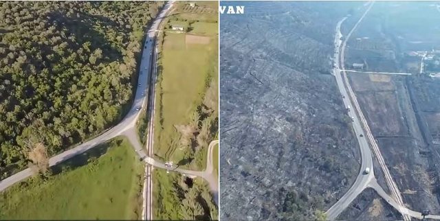 Fotolajm/ Levan i përfshirë nga zjarri, si ishte si u bë!