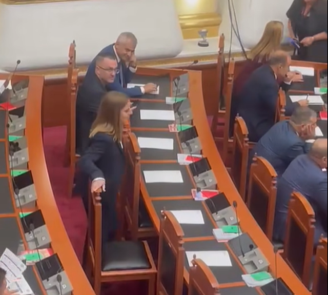 Marjana Koçeku rikthehet në Kuvend pas shkëputjes nga grupi parlamentar i PS-së, “shkon” te grupi parlamentar i PD