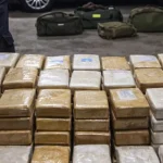 110 kg kokainë e fshehur në garazh/ Arrestohet 22-vjeçari shqiptar në Itali, droga shkonte deri në 10 milionë euro