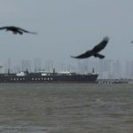 Jo vetëm naftë dhe gaz, pse bllokimi i Ngushticës së Hormuzit mund të shkaktojë një krizë agro-ushqimore