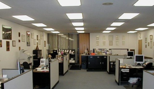 Të gjithë duan të punojnë në shtet në Shqipëri