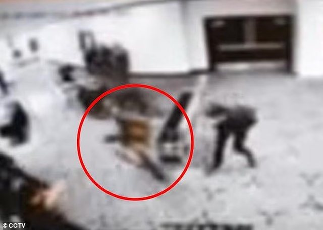 VIDEO/ Dalin pamjet kur autori nis të qëllojë në darkën e Trump me gazetarët!