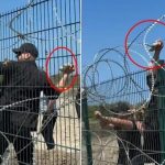 “Në spital pështynte gjak”, ja çfarë deklaroi kryeplaku i Zvërnecit për protestuesin që u tërhoq zvarrë!