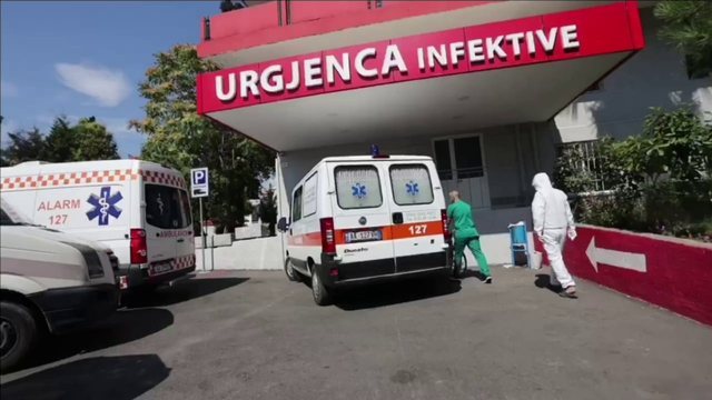 Eksperti i shëndetit publik jep alarmin: ‘Hantavirusi’ është në Shqipëri, ja si është futur!