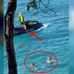 “I forti” me Jet Ski hyn mes pushuesve në Karaburun, Policia e gjobit me 500 mijë lekë