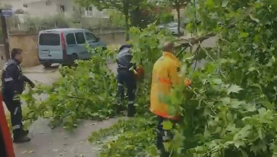 Era e fortë në Vlorë thyen pemët, vështirësi në qarkullim