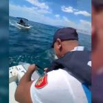 Policia shpëton dy turistët ukrainas në Ksamil, që po iu fundosej skafi