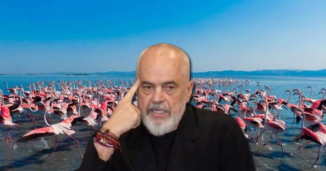 Protestuesit e shpallën fitore rezolutën e PE, reagon Rama: Mos dëgjoni korbat, llapaqorrat dhe VIP-at e fryrë me botokse…