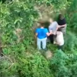 Asgjësohen mbi 2 mijë bimë kanabisi në Shkodër, arrestohen dy persona dhe procedohet kryeplaku