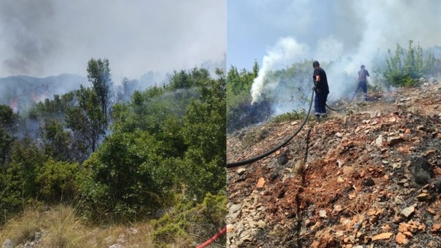 Zjarr i madh në Qafë Thanë, flakët përhapen me shpejtësi nga temperaturat e larta dhe era!