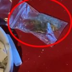 Zbulohet lokali në Tiranë i përshtatur për baste sportive dhe drogë, arrestohen pronari dhe një klient!