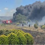 Situatë dramatike në Drizë të Fierit, flakët rrezikojnë banesat! Tymi mbulon zonën, vijon ndërhyrja nga ajri me helikopter