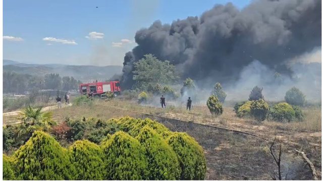 Situatë dramatike në Drizë të Fierit, flakët rrezikojnë banesat! Tymi mbulon zonën, vijon ndërhyrja nga ajri me helikopter