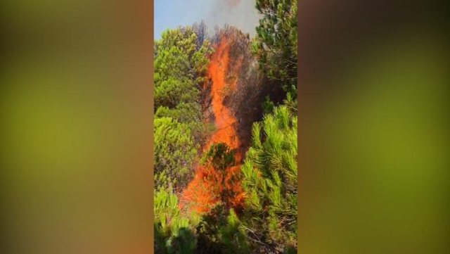 Vatër zjarri në Rriban të Mallakastrës, terreni vështirëson ndërhyrjen e zjarrfikëse