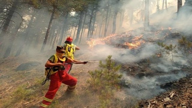 Situatë e vështirë në Mallakastër/ 7 vatra zjarri ende aktive në vend, ja ku po luftohet me flakët