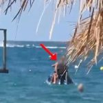 Rrezikoi pushuesit në Ksamil, bllokohet Jet Ski dhe gjobitet drejtuesi me 500 mijë lekë