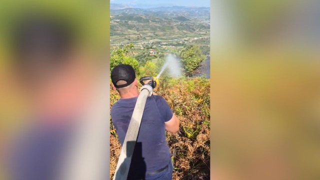 Neutralizohen flakët në Mallakastër, dogjën 10 hektarë me ullinj dhe pyll