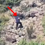 Piromani që vuri 5 zjarre rresht (dhe që u lirua nga gjykata, pavarësisht se e kishte bërë më parë)