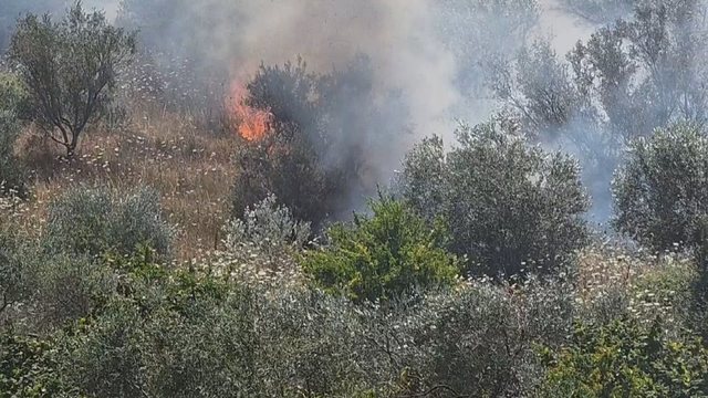 Ministria e Mbrojtjes bën bilancin: 25 vatra zjarri në mbarë vendin, 9 aktive