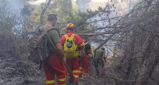 Zjarret në Patos dhe Krujë, flakët nën kontroll por vatrat vijojnë aktive. Nis ndërhyrja nga toka dhe ajri