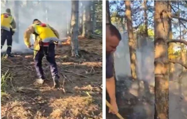 Flakët rrezikojnë kurorën e gjelbër të Pukës, dyshohet për zjarrvënie të qëllimshme. Nisin hetimet