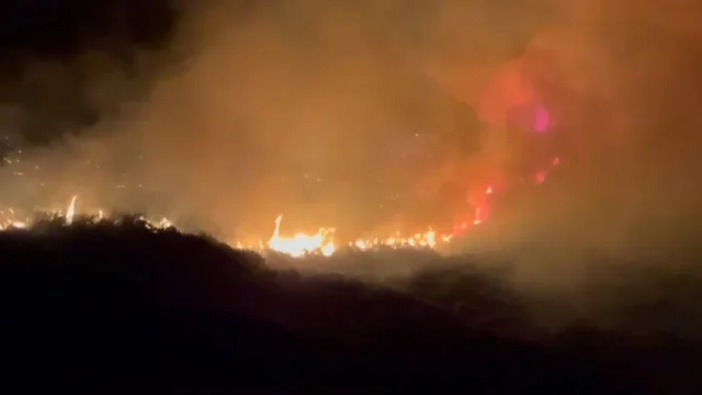 Zjarr i madh gjatë natës në Qishbardhë të Vlorës, era ka favorizuar përhapjen e flakëve, e vështirë ndërhyrja