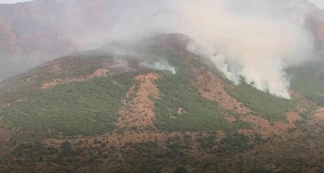 Digjen qindra hektarë në Bulqizë/ Flakët u afrohen dy fshatrave, vijon ndërhyrja nga ajri