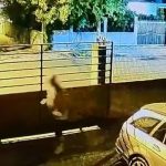 Nga Fieri në Gjirokastër/ Zbardhen disa vjedhje banesash, në pranga 3 persona!