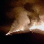 Zjarri në Selenicë/ Digjen 27 hektarë me shkurre e pemë, flakët përfshijnë edhe ullinj shekullorë