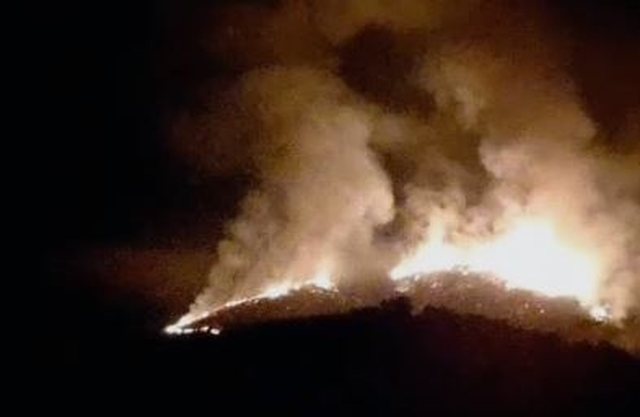 Zjarri në Selenicë/ Digjen 27 hektarë me shkurre e pemë, flakët përfshijnë edhe ullinj shekullorë