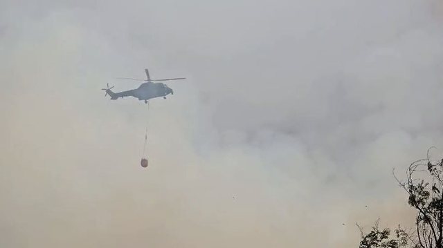Flakët po përpijnë kodrat me ullishte/ Nis evakuimi i banorëve dhe ndërhyrja nga ajri në Levan