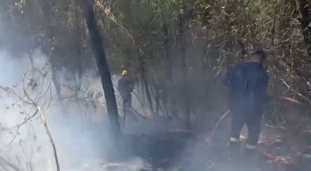 Disa vatra zjarri në vend, flakët rrezikojnë banesat në Lundre dhe përfshijnë pyjet pranë Mukjes