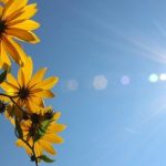 E shtunë e nxehtë, ja sa shkojnë temperaturat