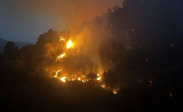 Shqipëria nën flakë, 32 vatra zjarri në 24 orë: 11 ende aktive