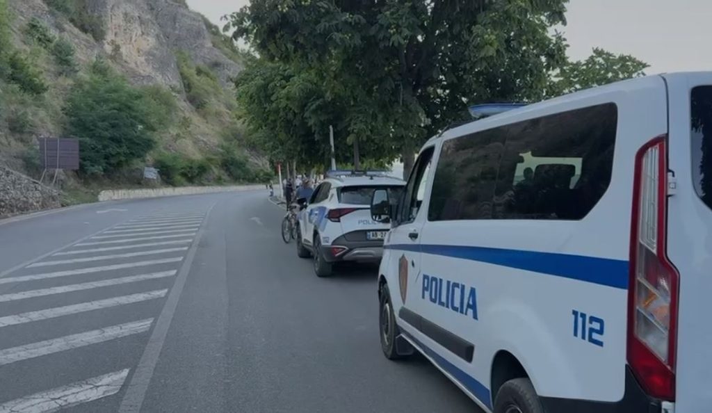 Detaje/ Vrasja e dy vëllezërve në Kamëz! (Emrat e viktimave dhe autorit)